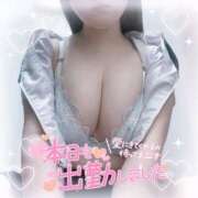 ヒメ日記 2025/11/13 10:45 投稿 のん あふたーすくーる本店