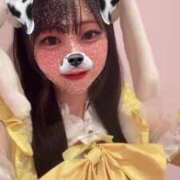 ヒメ日記 2025/05/25 21:10 投稿 シナモン E+アイドルスクール　大阪・日本橋店