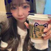 ヒメ日記 2025/06/01 15:29 投稿 シナモン E+アイドルスクール　大阪・日本橋店