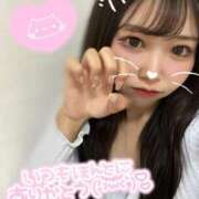 ヒメ日記 2025/06/04 00:09 投稿 シナモン E+アイドルスクール　大阪・日本橋店