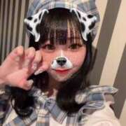 ヒメ日記 2025/06/08 14:05 投稿 シナモン E+アイドルスクール　大阪・日本橋店