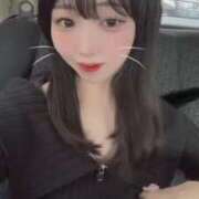 ヒメ日記 2025/06/15 18:49 投稿 シナモン E+アイドルスクール　大阪・日本橋店