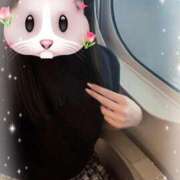 ヒメ日記 2025/06/29 12:29 投稿 シナモン E+アイドルスクール　大阪・日本橋店