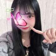 ヒメ日記 2025/08/06 07:09 投稿 シナモン E+アイドルスクール　大阪・日本橋店