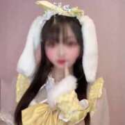 ヒメ日記 2025/08/19 19:49 投稿 シナモン E+アイドルスクール　大阪・日本橋店