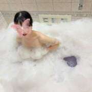 ヒメ日記 2025/08/20 21:31 投稿 シナモン E+アイドルスクール　大阪・日本橋店