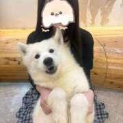 ヒメ日記 2025/10/16 21:58 投稿 シナモン E+アイドルスクール　大阪・日本橋店