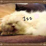 ヒメ日記 2025/06/26 23:03 投稿 ひな 熟女の風俗最終章 高崎店