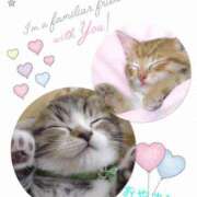 ヒメ日記 2025/07/04 01:38 投稿 ひな 熟女の風俗最終章 高崎店