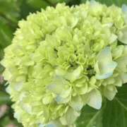 ヒメ日記 2025/05/25 09:10 投稿 あい みこすり半道場 大阪店