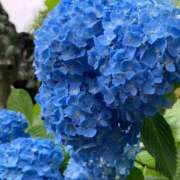 ヒメ日記 2025/06/24 15:37 投稿 あい みこすり半道場 大阪店