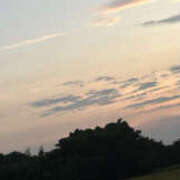 ヒメ日記 2025/08/14 23:24 投稿 紫乃 ぽっちゃり熟女 ～バカラ～