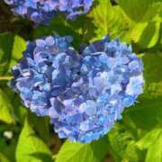 ヒメ日記 2025/06/13 18:49 投稿 星川百音 お姉さんCLUB