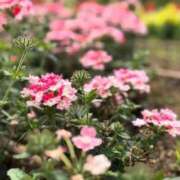 ヒメ日記 2025/08/15 18:27 投稿 星川百音 お姉さんCLUB