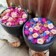 星川百音 感謝です💌 お姉さんCLUB