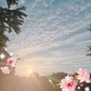 ヒメ日記 2025/06/20 07:01 投稿 風花 渋谷人妻城