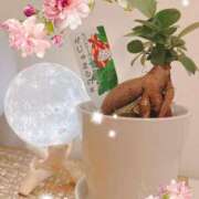 ヒメ日記 2025/07/13 21:15 投稿 風花 渋谷人妻城