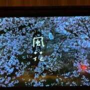 ヒメ日記 2025/12/15 10:58 投稿 風花 渋谷人妻城