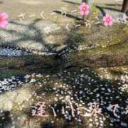 ヒメ日記 2026/04/05 13:28 投稿 風花 渋谷人妻城