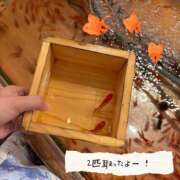 ヒメ日記 2025/06/12 19:26 投稿 つむぎ 吉原ファーストレディ