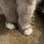 ヒメ日記 2025/08/02 09:21 投稿 つむぎ 吉原ファーストレディ