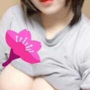 ヒメ日記 2025/11/17 11:00 投稿 花 新潟市鳥屋野潟ちゃんこ