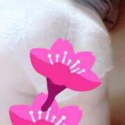 ヒメ日記 2026/02/08 13:36 投稿 花 新潟市鳥屋野潟ちゃんこ