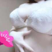 ヒメ日記 2026/03/30 16:26 投稿 花 新潟市鳥屋野潟ちゃんこ