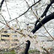 ヒメ日記 2026/03/27 17:33 投稿 うた（花嫁） Yシャツと私