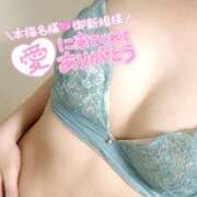 ヒメ日記 2026/03/29 10:34 投稿 うた（花嫁） Yシャツと私