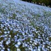 ヒメ日記 2026/04/25 08:02 投稿 うた（花嫁） Yシャツと私