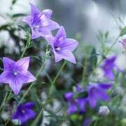 ヒメ日記 2025/05/19 10:19 投稿 そら 奥様プリモ