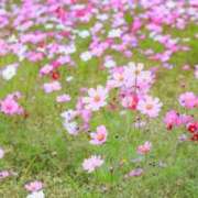 ヒメ日記 2025/10/18 10:09 投稿 そら 奥様プリモ