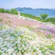 ヒメ日記 2025/10/19 10:09 投稿 そら 奥様プリモ