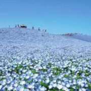 ヒメ日記 2025/10/22 10:19 投稿 そら 奥様プリモ