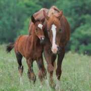 ヒメ日記 2026/01/03 09:49 投稿 そら 奥様プリモ