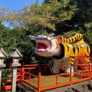 ヒメ日記 2025/09/08 10:46 投稿 まの マダム可憐