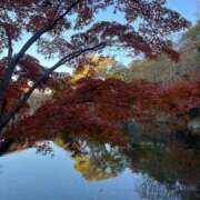 ヒメ日記 2025/12/05 14:34 投稿 難波 める しゃせきょっ!XX教育される制服女子たち