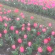 難波 める 最近🫧 しゃせきょっ!XX教育される制服女子たち