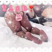 ヒメ日記 2026/02/12 00:02 投稿 ゆり 丸妻 厚木店