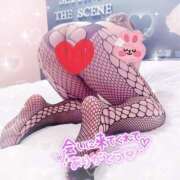 ヒメ日記 2026/02/20 10:30 投稿 ゆり 丸妻 厚木店