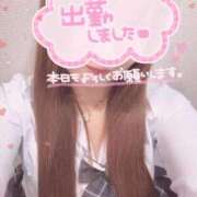 ヒメ日記 2025/08/22 17:26 投稿 ももな ビデオdeはんど　上大岡校