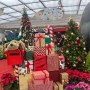 ヒメ日記 2025/12/10 16:02 投稿 友果(ともか) カサブランカ岡山店（カサブランカグループ）