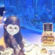 ヒメ日記 2025/07/16 06:08 投稿 なごみ 東京アロマスタイル