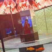 ヒメ日記 2025/09/29 14:28 投稿 なごみ 東京アロマスタイル