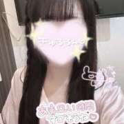 ヒメ日記 2025/12/06 13:57 投稿 めあり 秋葉原 添い寝女子