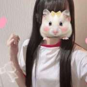 ヒメ日記 2025/12/16 00:12 投稿 めあり 秋葉原 添い寝女子