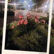 ヒメ日記 2025/05/21 13:45 投稿 みお 横浜おかあさん