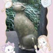 ヒメ日記 2025/05/26 09:46 投稿 みお 横浜おかあさん