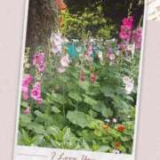 ヒメ日記 2025/05/27 09:25 投稿 みお 横浜おかあさん